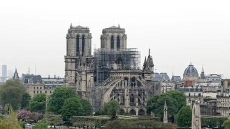 Incredibil! In Franta nu mai exista stejari suficient de batrani si inalti pentru a reconstrui acoperisul Catedralei Notre-Dame!