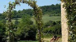 Galerie foto - Poza #2