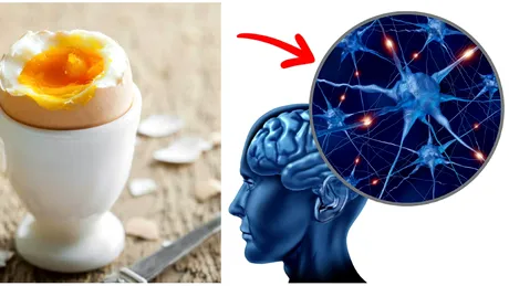 Consumul zilnic de oua, efecte asupra functionarii creierului! Ce se intampla daca alimentul e in dieta atat de des!