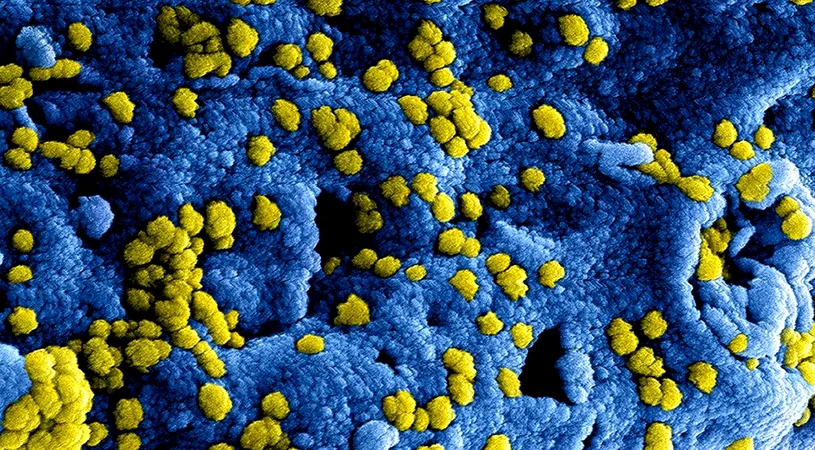 Oamenii de știință sunt în alertă! A apărut un virus de 10 ori mai letal decât Sars-CoV-2