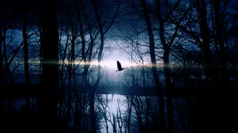 Horoscop 14 septembrie 2018: Taurii nu stau foarte bine cu banii!