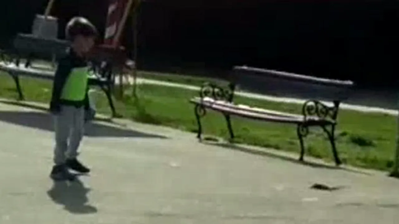 Serpi in iarba, la un loc de joaca din Calafat! 