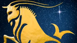 Galerie foto - Poza #4