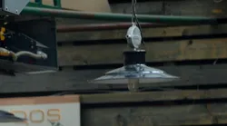 Galerie foto - Poza #4