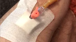 Galerie foto - Poza #4