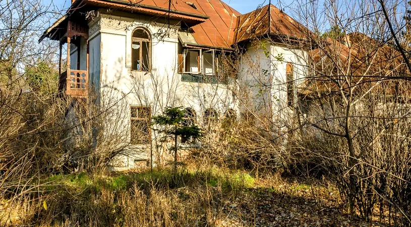 Se afla in interes de serviciu cand a zarit o casa care parea abandonata! S-a apropiat de ea si a auzit un zgomot. A deschis usa si a ramas masca: ce a gasit inauntru