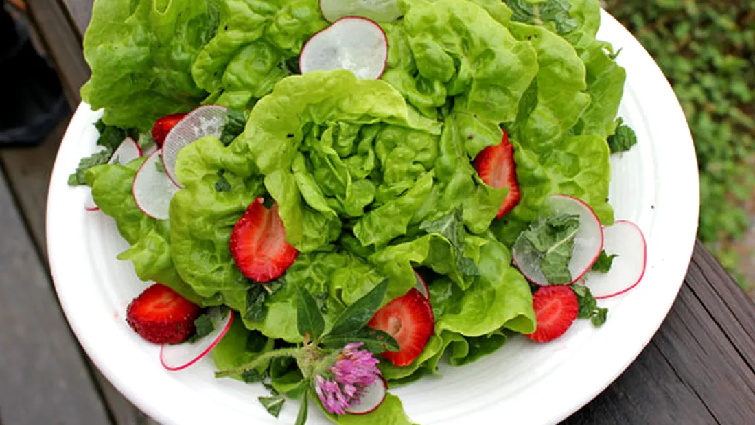 Efectele uimitoare pe care le are salata verde asupra corpului tau. Ce se intampla daca o mananci pe stomacul gol