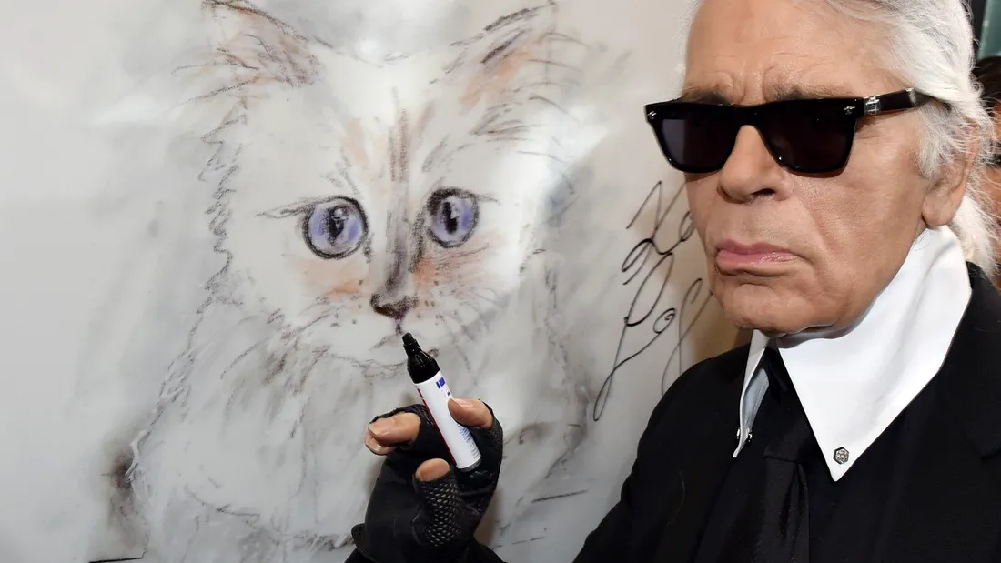 Mostenitoarea averii lui Karl Lagerfeld este pisica lui! Cati bani va mosteni felina