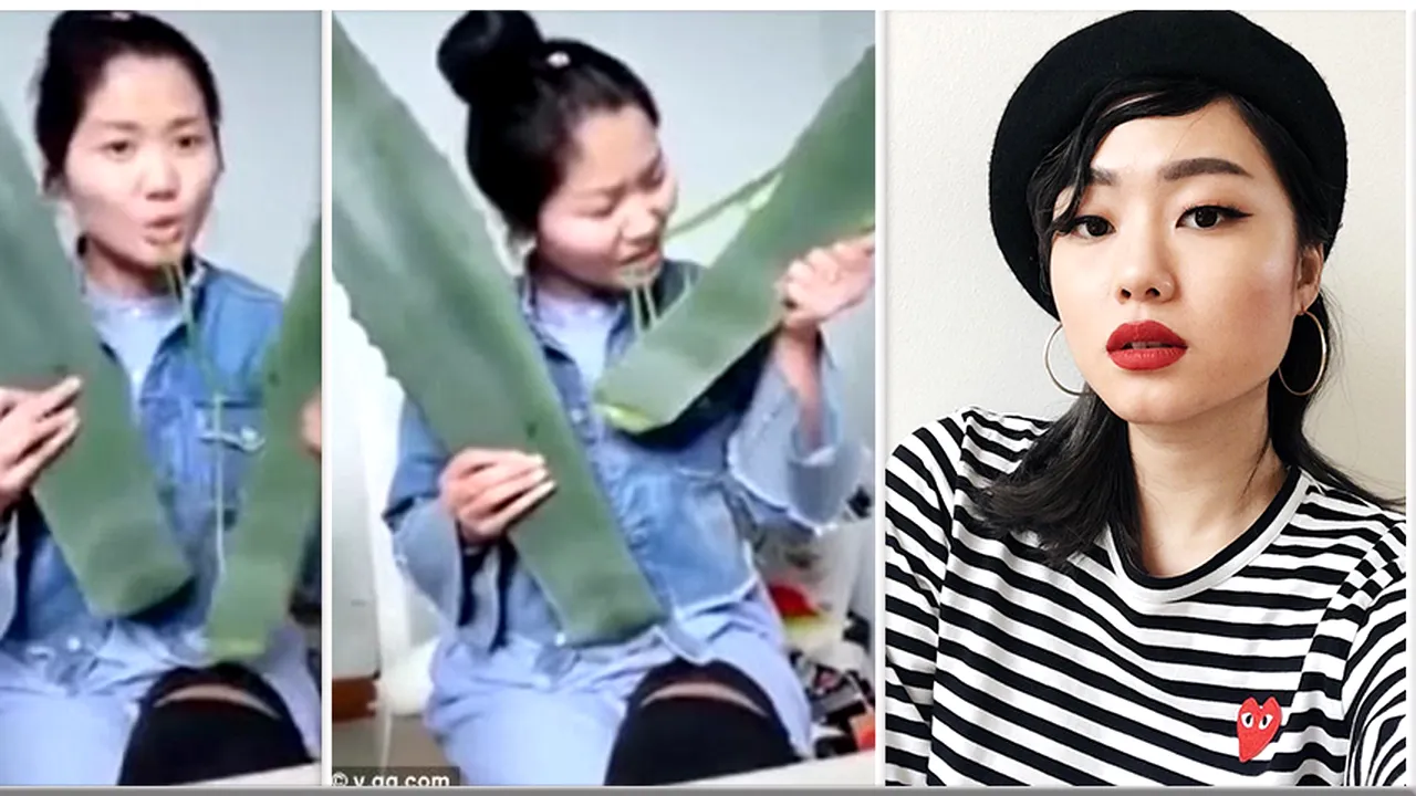 vloggerul Zhang otravit aloe 