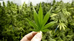 Galerie foto - Poza #4