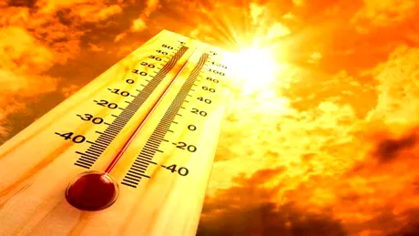 Canicula a ucis 6 oameni. Un cioban a murit pe camp, iar altul in curtea vecinului sau