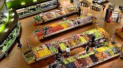 Galerie foto - Poza #1