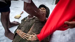 Galerie foto - Poza #4