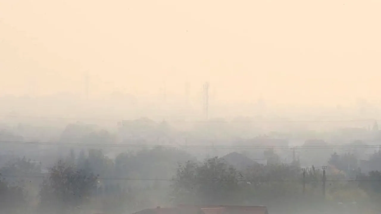 Fenomen îngrijorător în vestul României 
