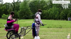 Galerie foto - Poza #4