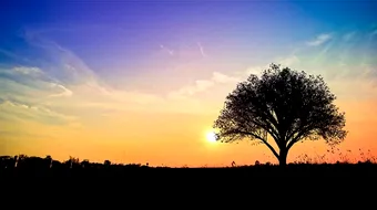 Horoscop 26 mai 2019: Scorpionii pot afla vesti neplacute!