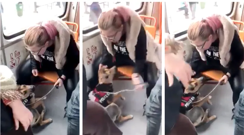 VIDEO! Imagini groaznice! O femeie din Bucuresti rupe in bataie un catel in tramvai! Zeci de mii de oameni vor sa afle cine este ca sa o dea pe mana Politiei Animalelor!