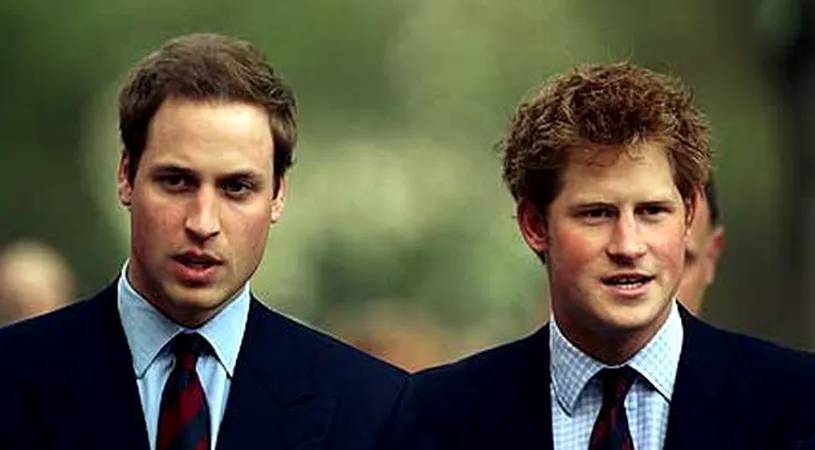 Banii strânși la memorialul Prințesei Diana, împărțiți de Prinții William și Harry! În ce vor investi cei doi