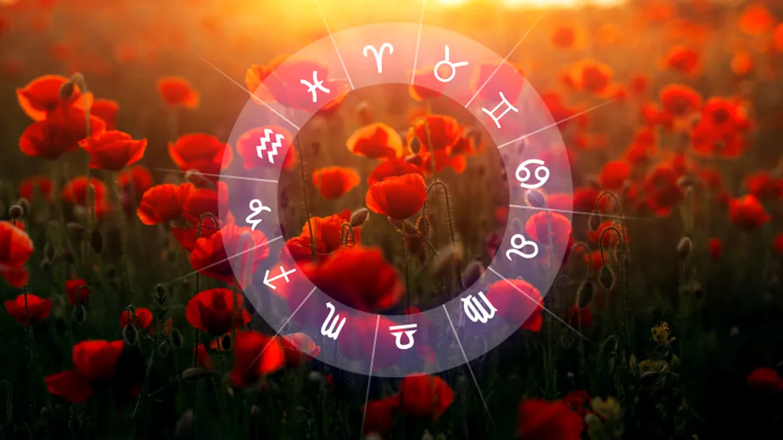 Horoscop Florii 2025. Ce floare te reprezintă în funcție de semnul zodiacal sub care te-ai născut