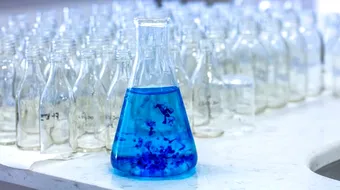 5 din 6 studii confirmă: albastrul de metil încetinește Alzheimer și reduce atrofia cerebrală. Ce trebuie să știi