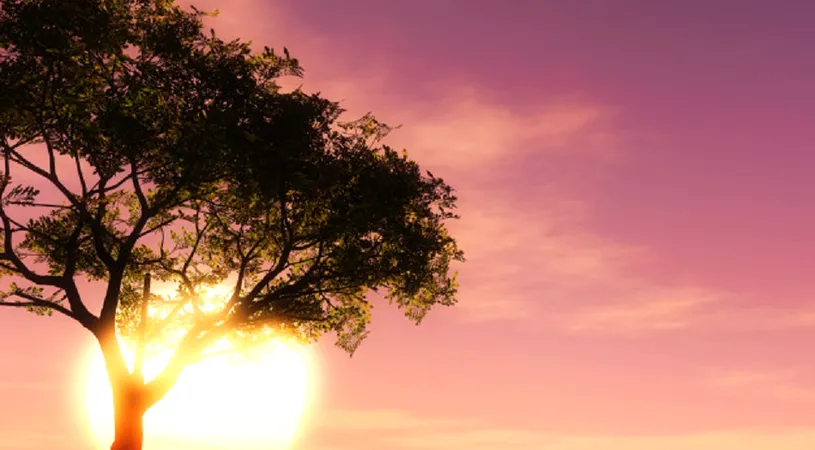 Horoscop 6 mai 2019: Taurii incep o lucrare banoasa!