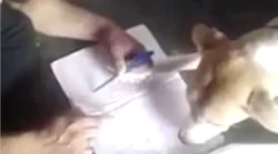 Galerie foto - Poza #4