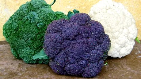 Alimente sub lupa: Conopida vs Broccoli. Care este mai buna pentru organismul tau