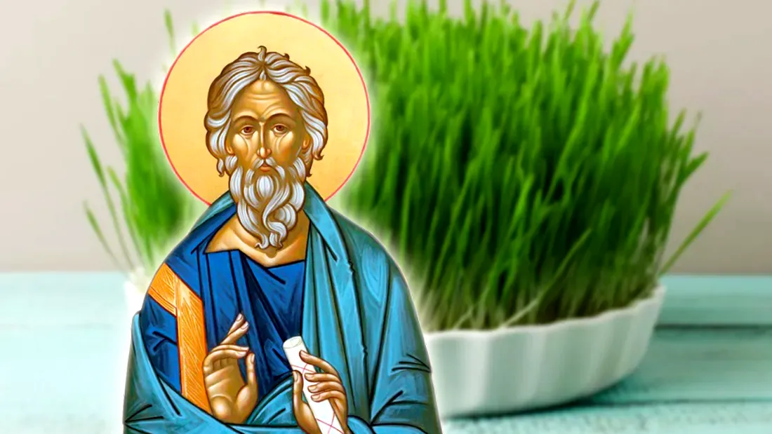 Cum se pune grâul la încolţit. Obiceiul pe care românii îl respectă cu sfințenie de Sfântul Andrei