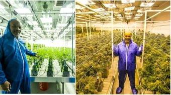 Ferma de cannabis a lui Mike Tyson. Asa arata proprietatea imensa pe care vrea sa cultive doar planta psihotropa