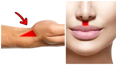 Corpul uman si 8 parti esentiale ale lui despre care nu stii NIMIC! Ce rol au cantonul anatomic si filtrul de sub nas