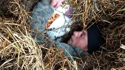 Galerie foto - Poza #4