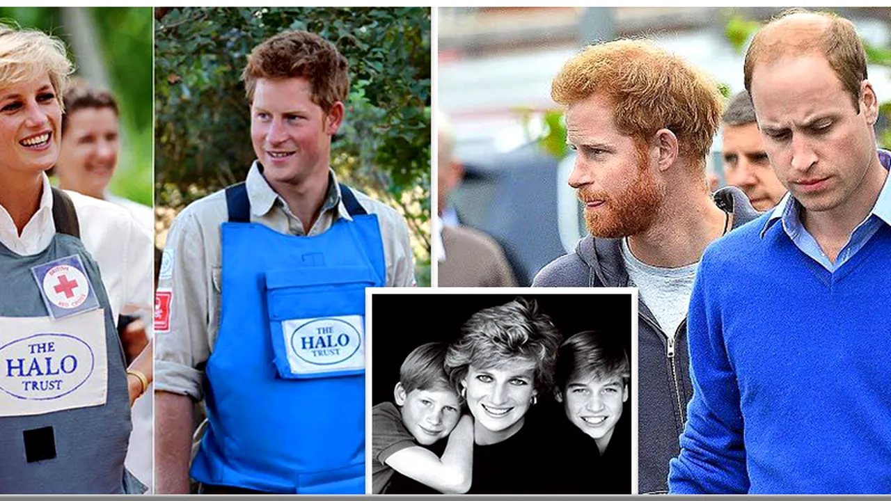 printul harry 
