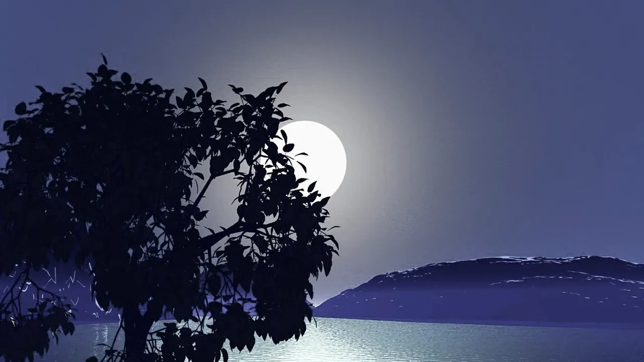 horoscop 26 noiembrie 2018 