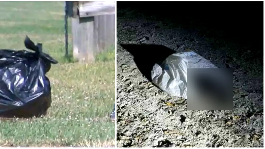 Politistul a dat peste o punga de gunoi suspecta cand patrula printr-un parc! A inlemnit cand a vazut ce se afla in interior