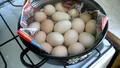 Secrete folosite de gospodine pentru a fierbe corect ouăle pentru Paște