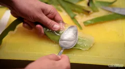 Galerie foto - Poza #4