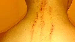 Galerie foto - Poza #2