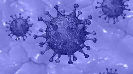 Bilanț coronavirus România. 2489 de cazuri noi de infectare din 7116 teste prelucrate. S-au raportat și 87 de decese