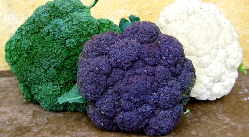 Alimente sub lupa: Conopida vs Broccoli. Care este mai buna pentru organismul tau