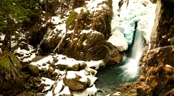 Galerie foto - Poza #4