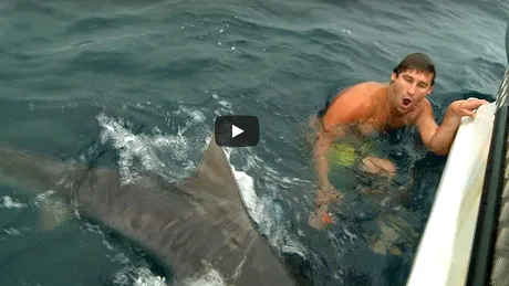 Australianul care a trecut prin spaima vietii! Un rechin urias a fost la un pas sa-l insface in apa! Imagini unice