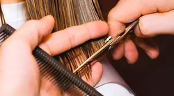 Galerie foto - Poza #4