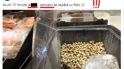 Galerie foto - Poza #4