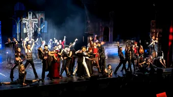 Teatrul Național de Operetă și Musical „Ion Dacian” a prezentat raportul pe 2025: venituri proprii de 4,3 milioane de lei și peste 50.000 de spectatori
