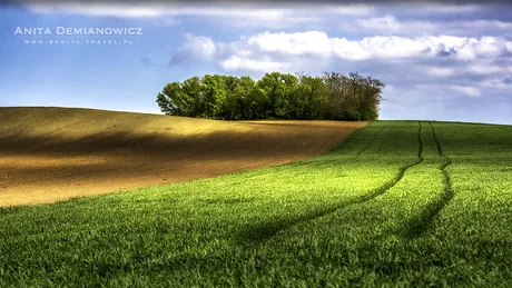 Cele mai frumoase peisaje din regiunea Moravia de Sud din Republica Ceha! Campurile astea sunt de vis. Iti vine sa te tolanesti pe ele