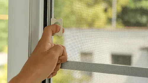 Cum îți protejezi casa de insecte. Truc simplu pentru plasele de la geamuri