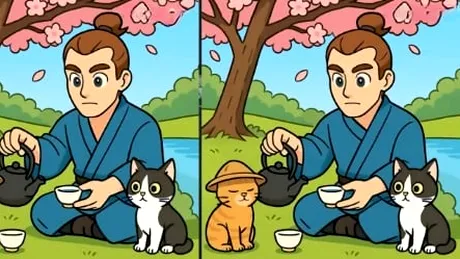 Test IQ: găsiți 3 diferențe într-o imagine cu un bărbat și pisici în 51 de secunde