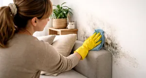 Cum scapi de igrasie pe pereți: ghid practic și sfaturi eficiente