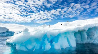 Descoperire socanta in Antarctica! Ce au gasit specialistii sub stratul urias de gheata VIDEO
