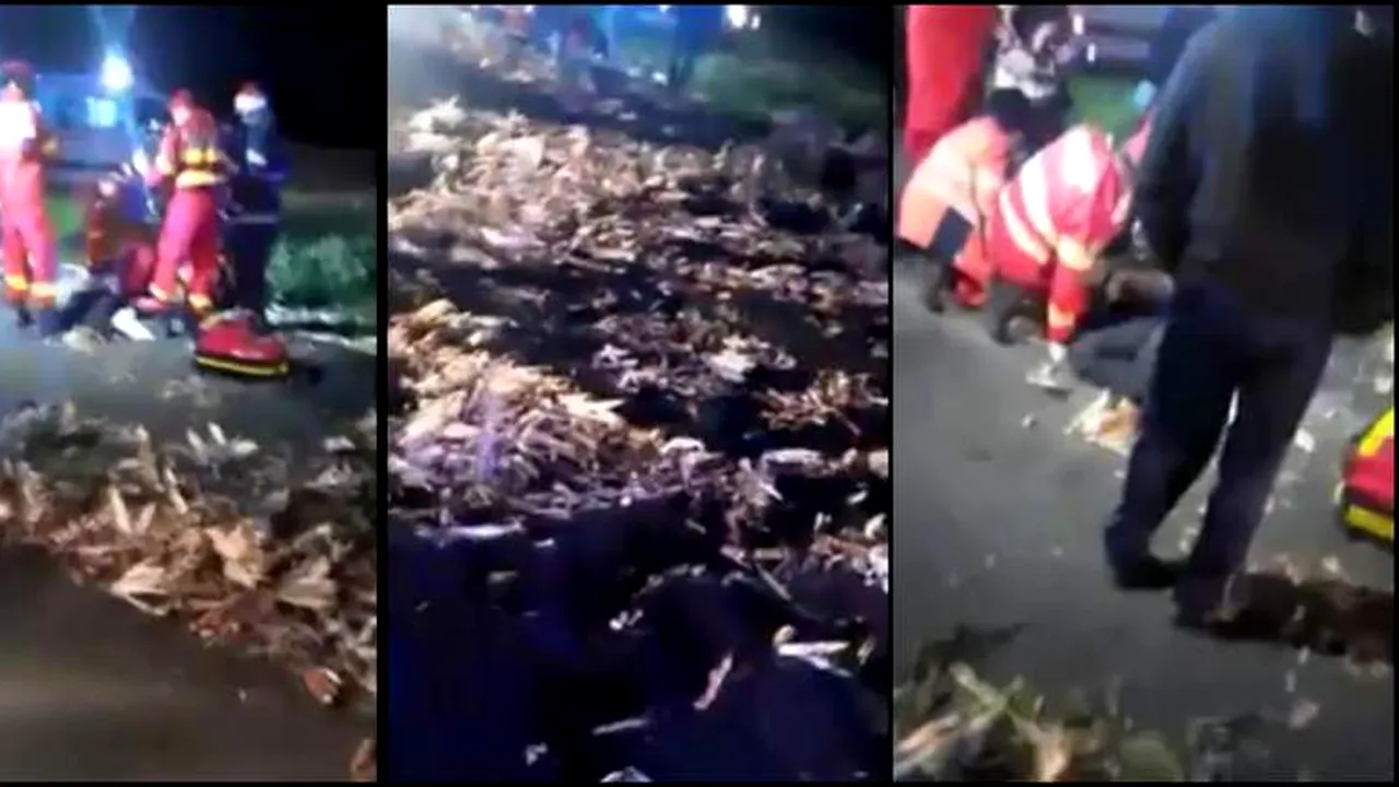 Un șofer turc a distrus o familie pe un drum din Brăila 